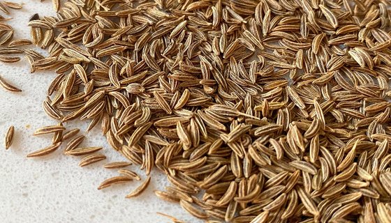 Caraway