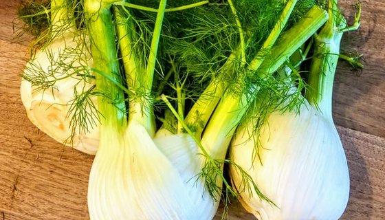 Fennel